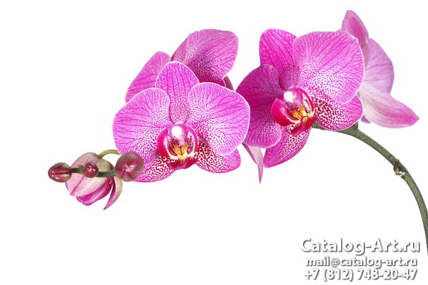Натяжные потолки с фотопечатью - Розовые орхидеи 84